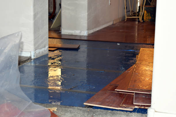 Professional Burst Pipe Cleanup technician working in Vauxhall, NJ